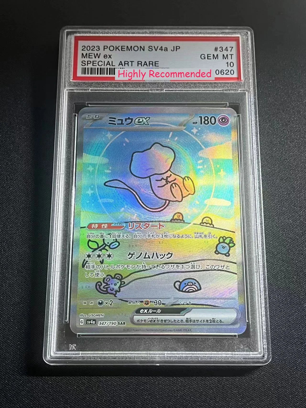 PROXY Graded Slabs Japanese Chases